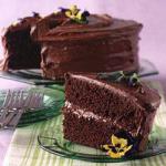 German Chocolate Cake Surprise Dessert