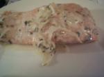 American Grilled Salmon in Champagne Sauce Appetizer
