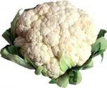 Italian Cauliflower Salad 28 Appetizer