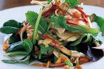 Thai Tangy Thai Chicken Salad Recipe Appetizer