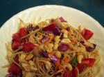 Chinese Szechuan Noodle Salad 2 Appetizer