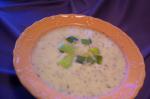 Chinese Creamy Fennel and Leek Soup Appetizer