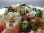 American Sour Cream Potato Salad  Kartoffelsalat Med Surflode Appetizer