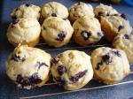 Belgian Blueberry Muffins 108 Dessert