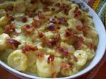 American Cheddar Scalloped Potatoes 4 Appetizer