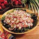 American Zippy Radish Salad Appetizer