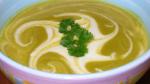 American Creamed Broccoli Soup Recipe Appetizer