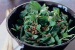 American Bean And Rocket Salad With Greenolive Dressing Recipe Dinner
