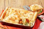 Malaysian Chunky Curried Vegetable Pot Pie Recipe Dessert