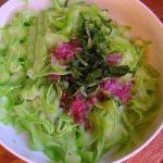 American Salad with Courgettes with Red Onion Appetizer