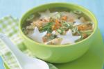Canadian Chicken And Star Noodle Soup Recipe Appetizer