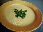 American Yellow Summer Squash Soup Appetizer