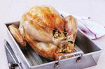 Turkish Roast Turkey With Apricot and Pistachio Stuffing Recipe Dinner