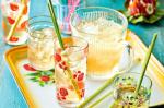 Vietnamese Ginger And Lemongrass Cooler Recipe Appetizer
