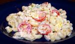 Turkish Turkey Macaroni Salad 3 Dinner