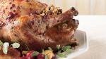 Turkish Cherryglazed Turkey with Dried Cherryapple Stuffing Appetizer