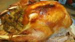 Turkish Traditional Roast Stuffed Turkey Dinner