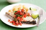 American Fish With Tomato Salsa Recipe 1 Appetizer