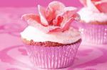 American Raspberry Rose Cupcakes Recipe Dessert