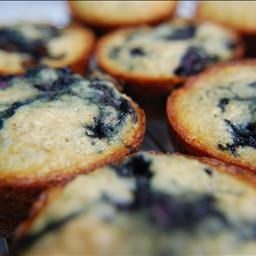 Canadian Low-fat High Fiber Blueberry Bran Muffins Dessert