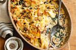 Australian Silverbeet And Mixed Mushroom Pasta Bake Recipe Appetizer