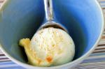British Basic Vanilla Icecream Recipe 1 Dessert
