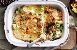 Australian Carrot Cauliflower Broccoli And Mustard Gratin Recipe Appetizer
