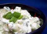 American Greek Style Cucumber Salad Appetizer