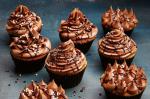 Australian Carols Perfect Cupcakes With Chocolate Buttercream Icing Recipe Dessert