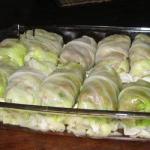 American Oriental Cabbage Rolls with Sauce Cucumber Salad Dessert