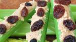 American Ants on a Log Recipe Appetizer