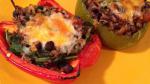 American Stuffed Peppers with Quinoa Recipe Appetizer