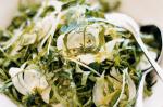 French Herb Salad Recipe 1 Appetizer