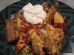 American Ww  Points Loaded Bacon Cheddar Fries Appetizer