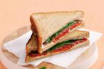 American Salami and Chargrilled Capsicum Toasted Sandwich With Baby Spinach and Goats Cheese Recipe Appetizer