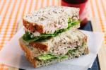 American Tuna Celery and Mayo Sandwich Recipe Appetizer
