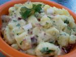 New Zealand Warm Potato Salad With Goat Cheese 1 Appetizer