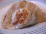 Japanese The Secret to Perfect Gyoza N Pot Stickers Appetizer
