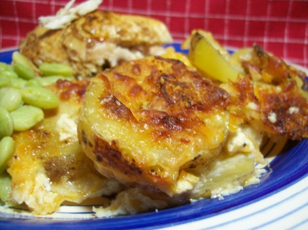 Swiss Cheesy Scalloped Potatoes 9 Appetizer