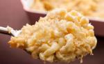 French Baked Mac and Cheese Recipe 13 Appetizer