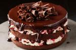 American Cherry Ripple Black Forest Cake Recipe Dessert