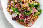 American Beef Lentil And Walnut Salad Recipe Dinner
