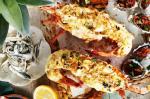 American Grilled Lobster With Parmesan Sauce And Thyme Pangrattato Recipe BBQ Grill