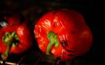 American Basic Roasted Bell Peppers Recipe Appetizer