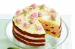 British Lime Coconut and Raspberry Cake Recipe Dessert