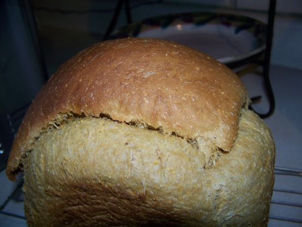 Australian Mimis Anadama Bread bread Machine Appetizer