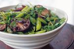 Australian Sugar Snap Pea Roasted Shiitake and Black Bean Salad Recipe Appetizer