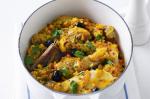 Spanish Spanish Chicken And Rice Recipe 3 Appetizer