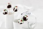Australian Christmas Cake Pop Puddings Recipe Dessert