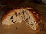 Yoghurtraisinbread recipe